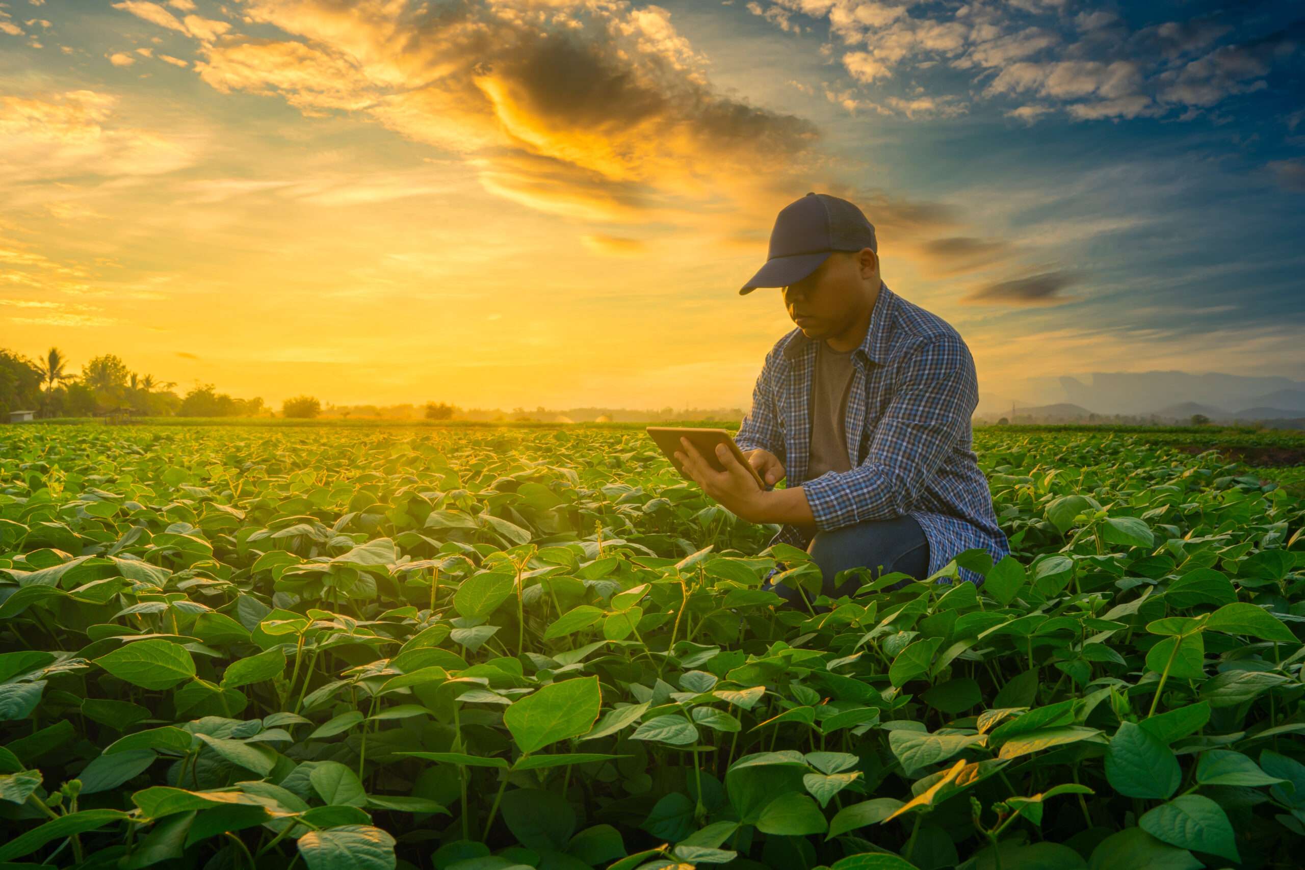 Your Agribusiness & Cyber Security: